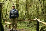 Mark in forest