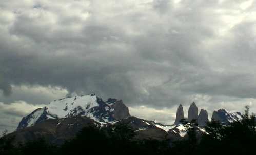 Horns and gray sky