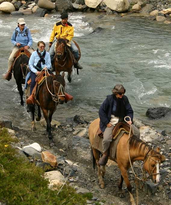 Horseback riding close-up