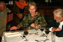 dinn499