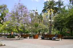 Plaza de Armas