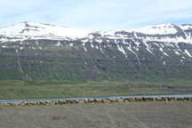 View across the fjord, I