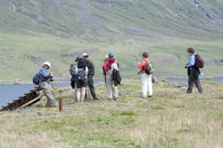 Group up high, looking down