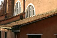 grass on the roof