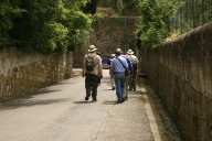 group seen from the rear