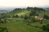 Typical Tuscan view