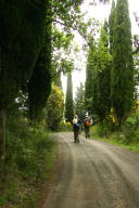 Country lane