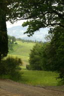 Country lane