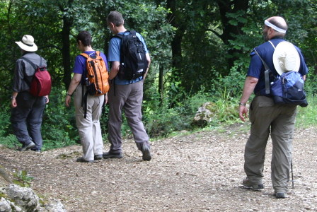 Descending into the creek valley