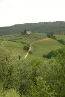 Yet another Tuscan vista