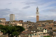 Tower in town square seen from a distance