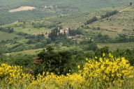 Another Tuscan vista