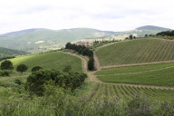One more Tuscan vista