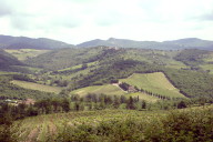 Another Tuscan vista