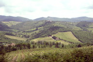 Another Tuscan vista