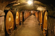 Lots of wine barrels