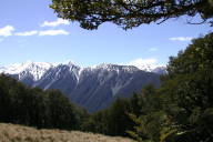 a nice view from under a tree