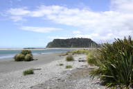 beach scene with Flax