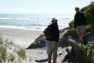 beach scene with King