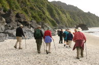 View of the backs of the whole group that day