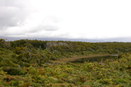 view over wooded plain