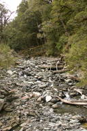 stream bed