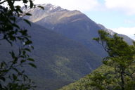 view over wooded plain