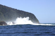 wild waves crashing #3