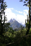 snow-covered peak