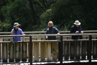 Pat, Nicky, and Tom on a bridge