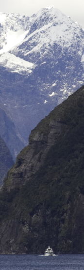 on Milford Sound