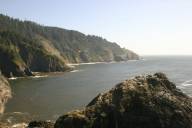 Looking down on sea lions, I