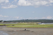 Bay at low tide, I