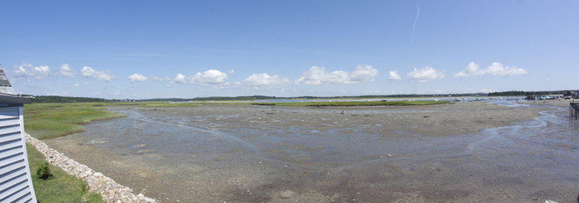 clam flats