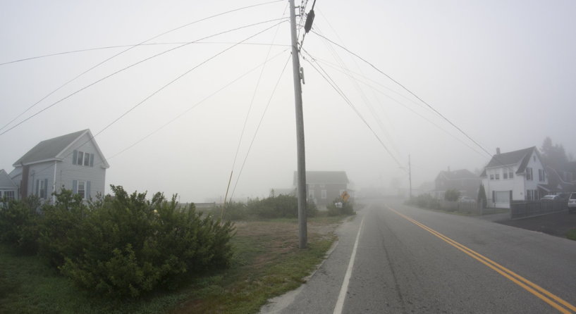 foggy morning on Jones Creek Road