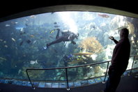 First wide-angle shot of display tank