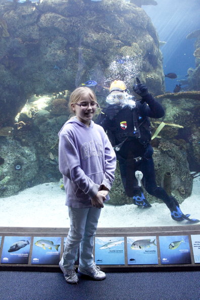 Harris and the aquarium skin-diver