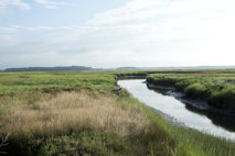 Salt Marshes, VI