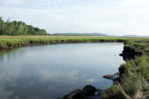 Salt Marshes, VII