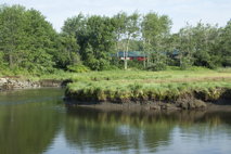 Salt Marshes, VIII