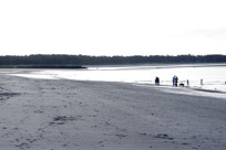 Beach in early morning, I