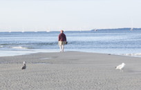 One man, two gulls