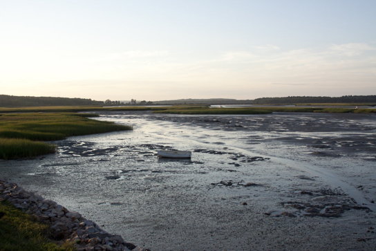 Low tide at duck, I