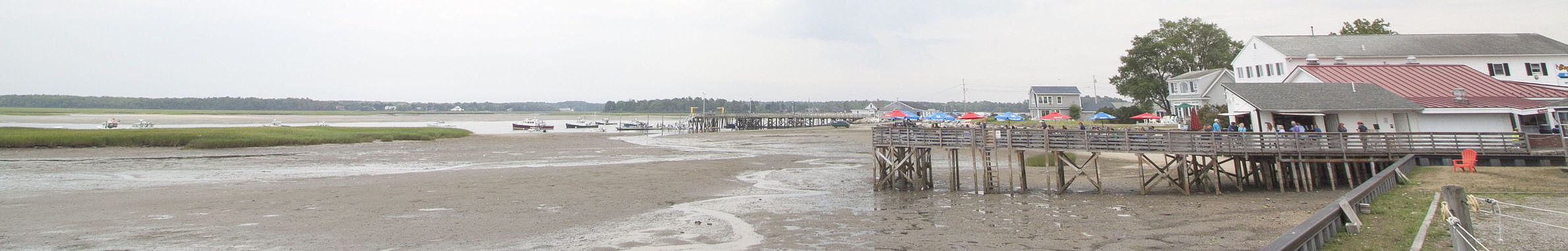 very wide shot of the horizon at low tide