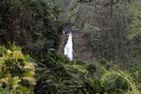 View of ‘Akaka Falls from afar