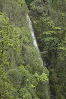 ‘Akaka Falls, I