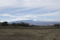 Mauna loa beyond the savannah