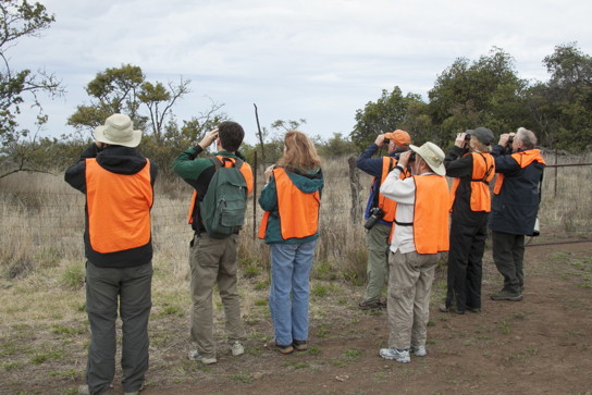 Photographer watches bird-watchers