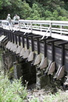 bridge and flume