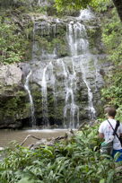 waterfall-fed-pond